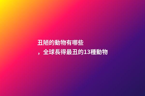 丑陋的動物有哪些，全球長得最丑的13種動物